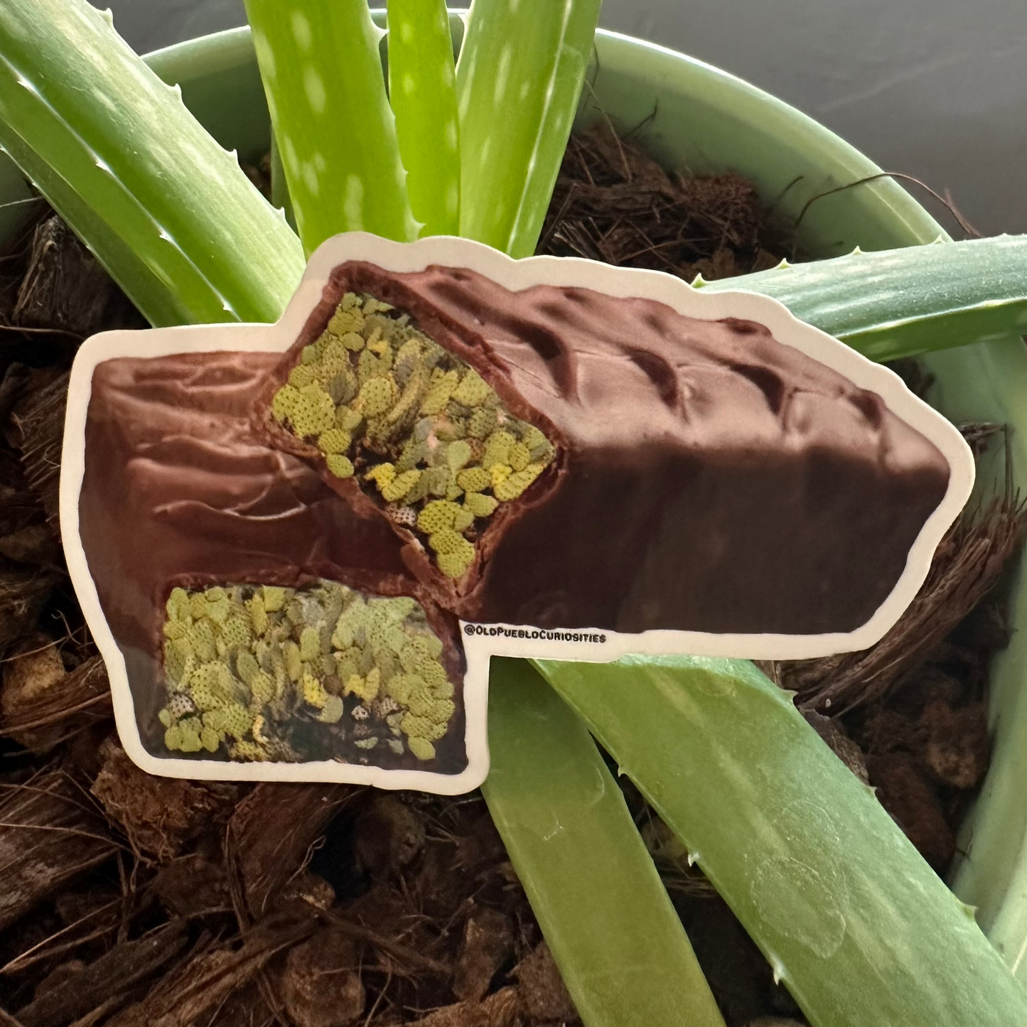 Cactus Candy Sticker 3x2" Prickly Pear Chocolate Bar