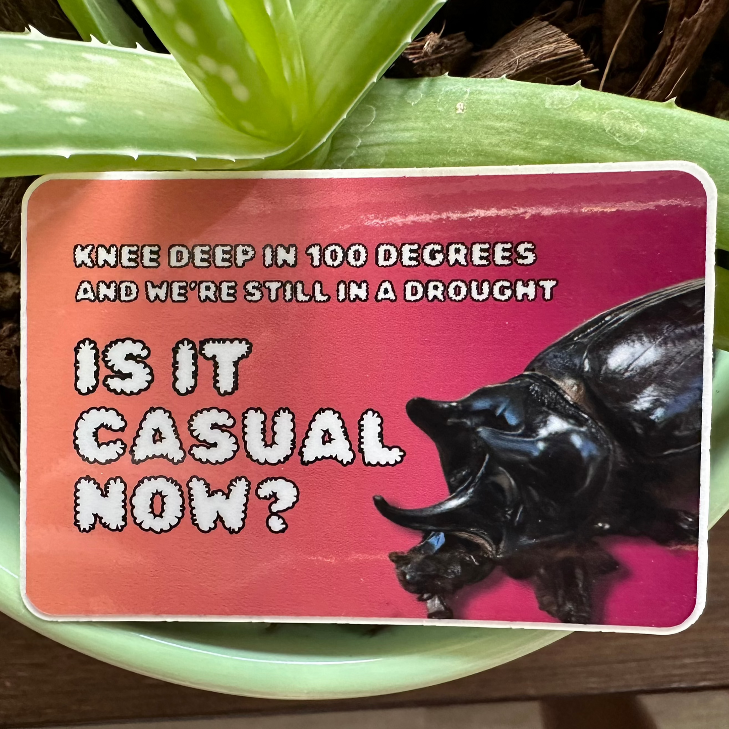 Knee deep in 100 degrees and we're still in a drought. Is it casual now? (3x2 Rectangular Sticker)