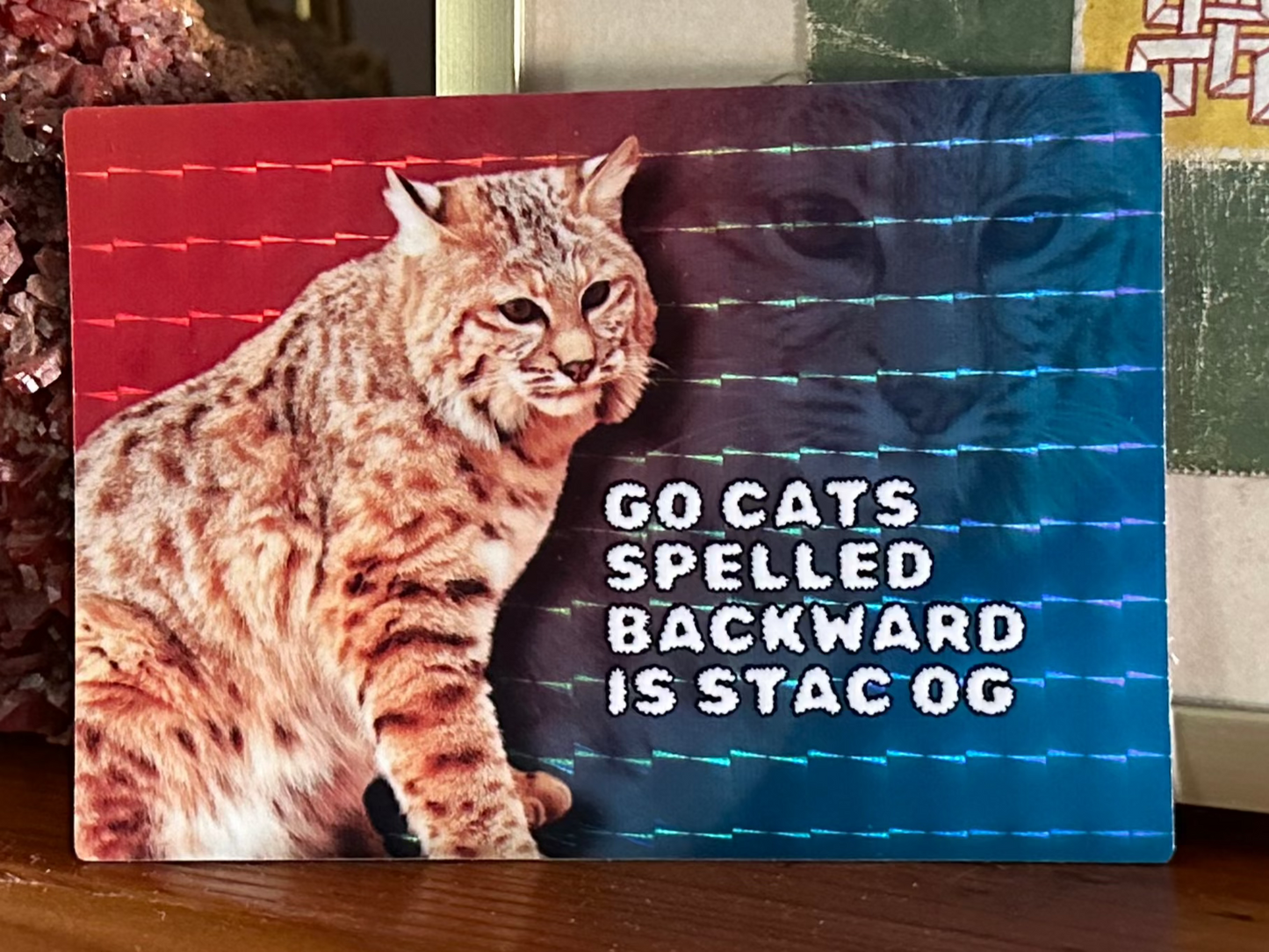 Arizona Fan Gift: Go Cats Spelled Backward is STAC OG (3.5x2.5 Rectangular Sticker) Tucson Lover silly sticker