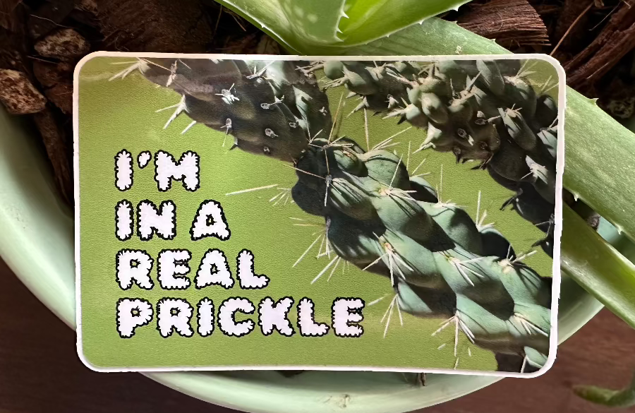 I'm in a real prickle. (3x2 Rectangular Sticker)