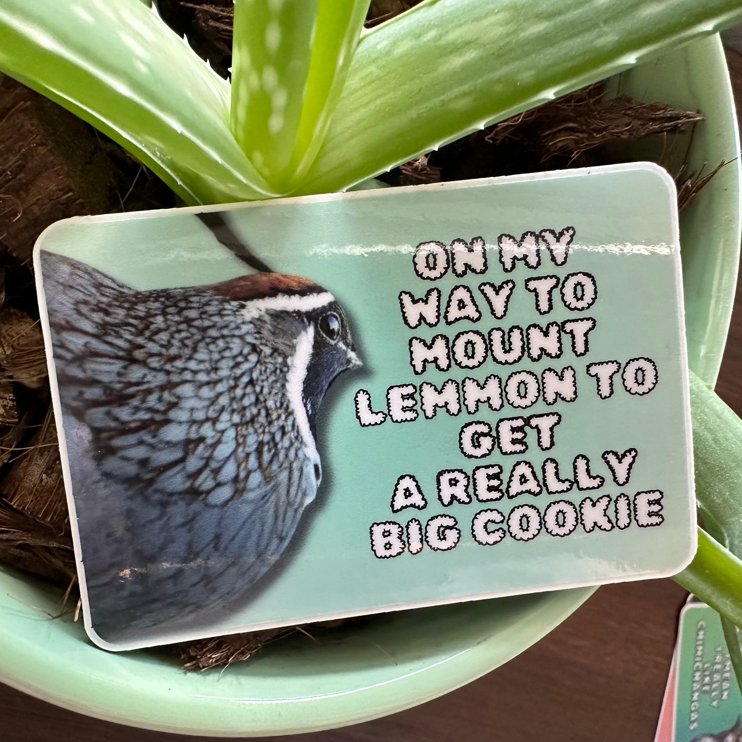 On my way to mount lemmon to get a really big cookie. (3x2 Rectangular Sticker)