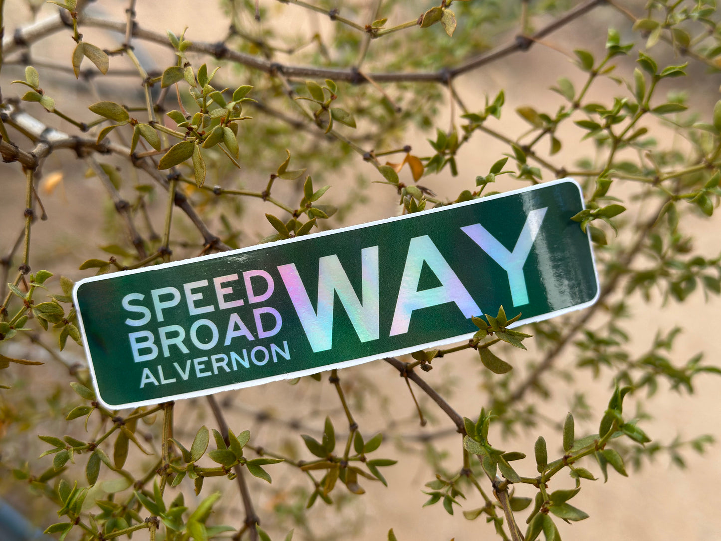 The Way (Holographic 4x1 Rectangular Sticker)