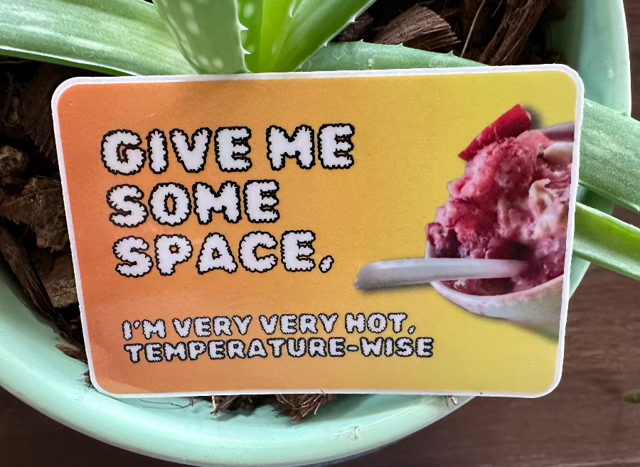 Perfect desert gift: Give me some space. I'm very very hot temperature-wise. (3x2 Rectangular Sticker) A gift for Tucson and Arizona lovers!
