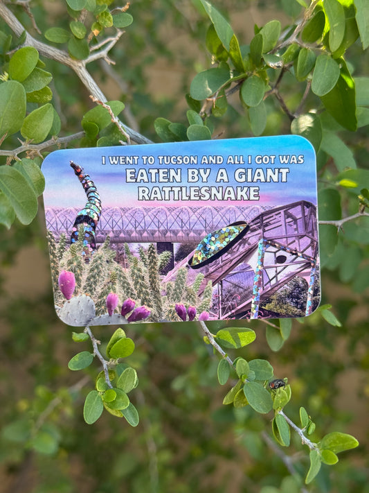 I went to Tucson - Rattlesnake Bridge (3x2 sticker)