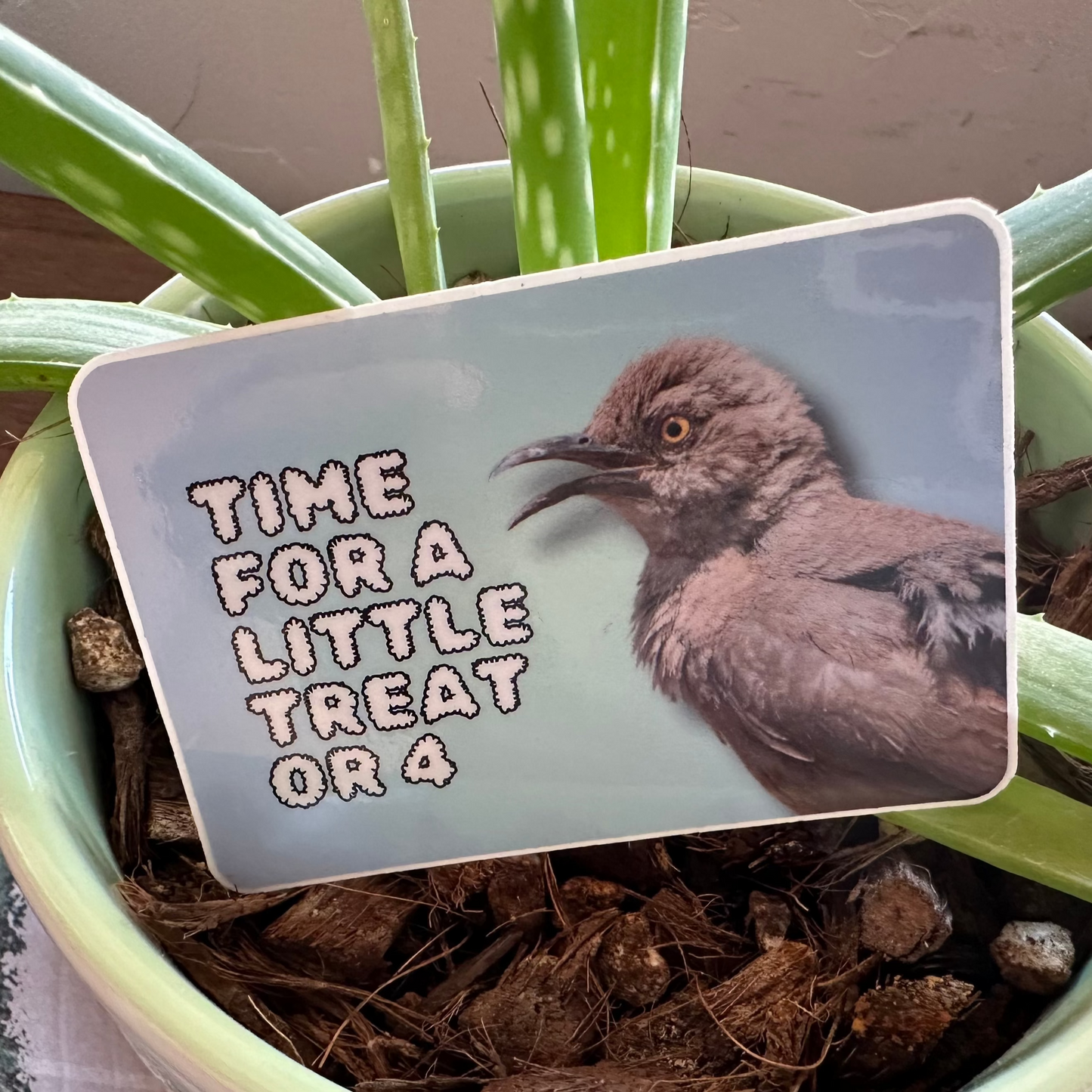 Time for a little treat or 4. (3x2 Rectangular Sticker)