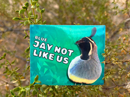 Blue Jay Not Like Us (3.5x2.5 Rectangular Sticker)