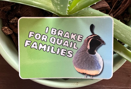 I brake for quail families. (3x2 Rectangular Sticker)