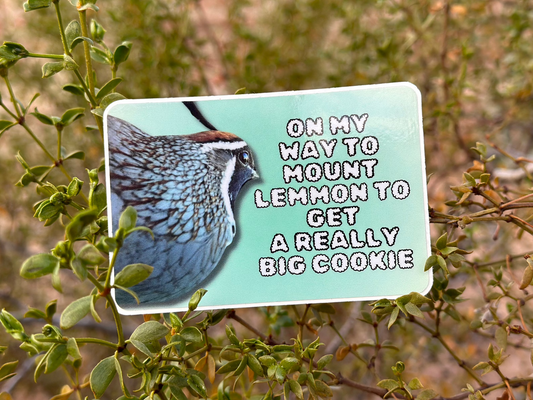 On my way to mount lemmon to get a really big cookie. (3x2 Rectangular Sticker)