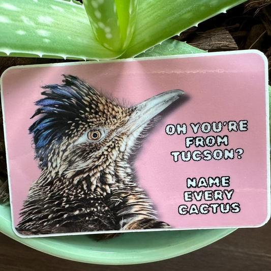 Oh you're from Tucson? Name every cactus. (3x2 Rectangular Sticker)