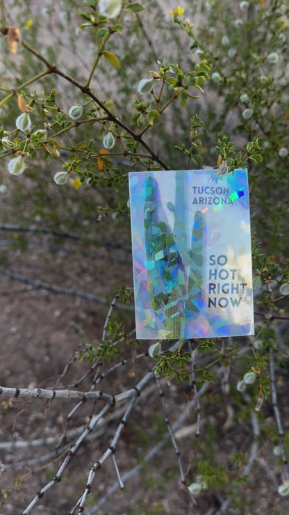 Tucson, AZ, So Hot Right Now (Saguaro) (2.5x3.5 Cracked Ice Vinyl Sticker)