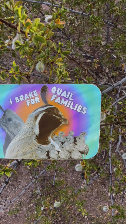 I brake for quail families. (3x2 Rectangular Sticker)