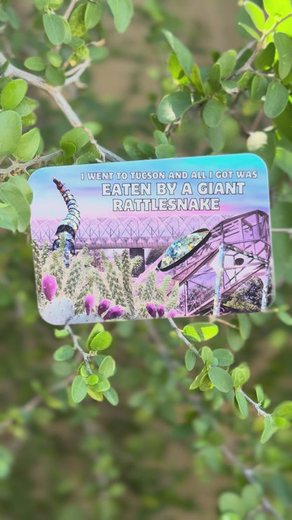 I went to Tucson - Rattlesnake Bridge (3x2 sticker)