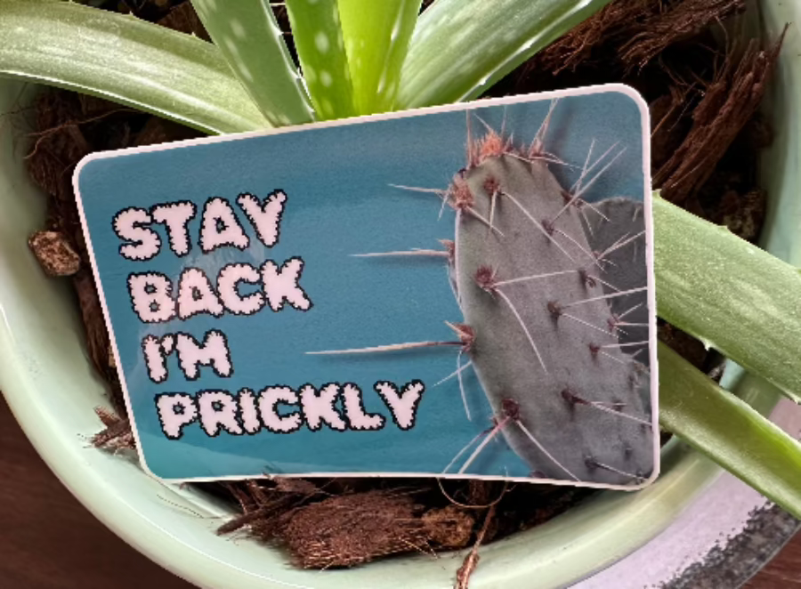 Stay back, I'm prickly. (3x2 Rectangular Sticker)