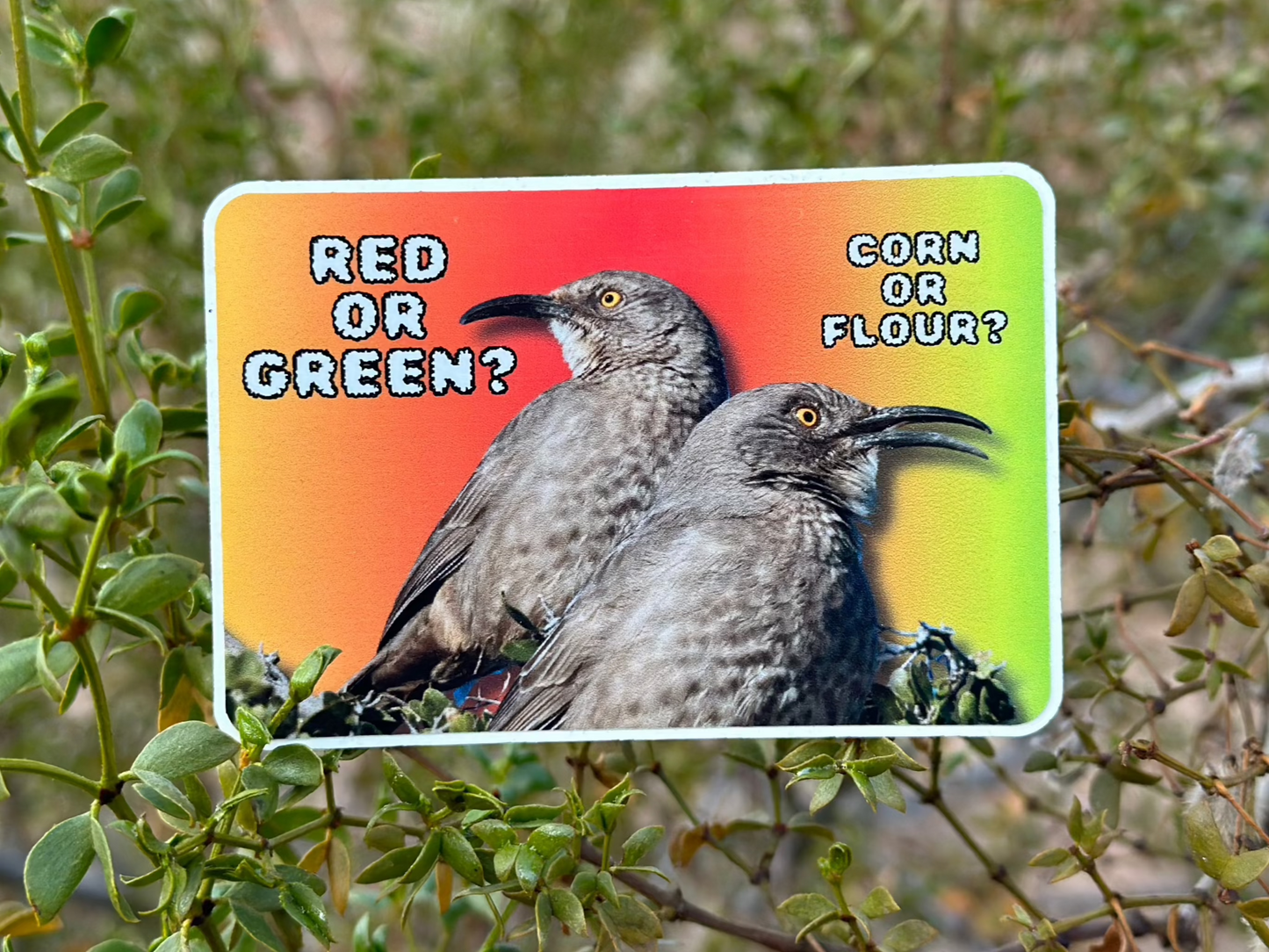 Red or Green? Corn or Flour? (3x2 Rectangular Sticker)