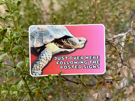 Just over here following the posted signs. (3x2 Rectangular Sticker)