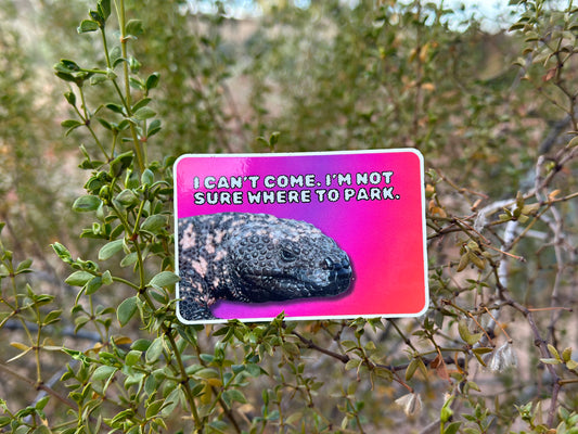 I can't come. I'm not sure where to park. (3x2 Rectangular Sticker)